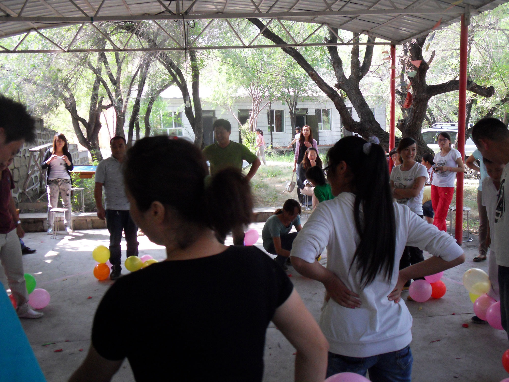 SDC11613.jpg